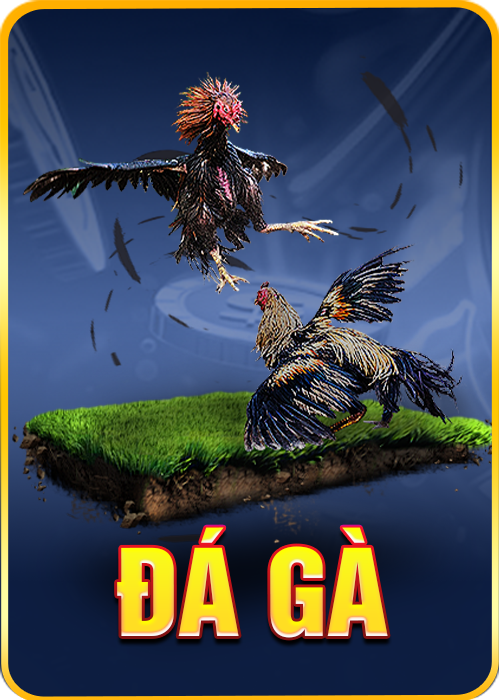 đá gà1